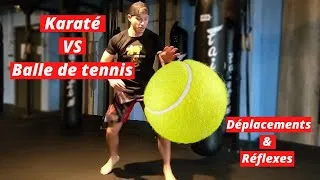 Miniature : Devenir un meilleur combattant avec une balle de tennis !