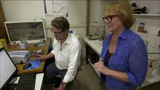 Miniature : Ça ressemble à un diamant,  mais est-ce un vrai ?