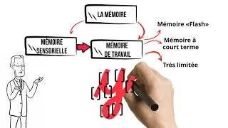 Miniature : Mémoire et apprentissage