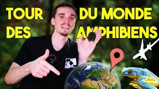 Miniature : LE TOUR DU MONDE DES AMPHIBIENS À LA MAISON !