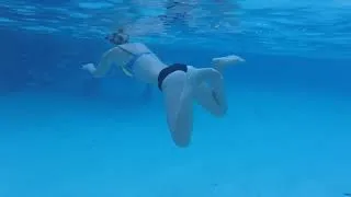Miniature : En lune de miel aux Caraïbes, une jeune marié se fait mordre par un requin