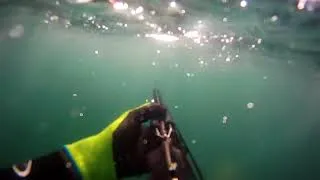 Miniature : Un plongeur en apnée est victime d'une charge de requin blanc suivie d'une deuxiéme