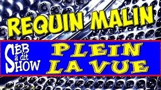 Miniature : Requin  - Sad #020 Mille milliards