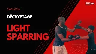 Miniature : Wing chun Light sparring pour débutant