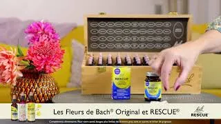 Miniature : RESCUE® CAPSULES NUIT