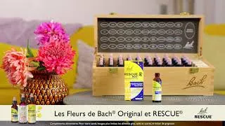Miniature : RESCUE® NUIT Pets