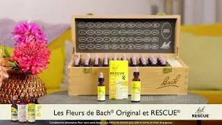 Miniature : RESCUE® Pets 20ml