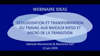 Miniature : Écologisation et transformation du travail aux niveaux méso et micro de la transition