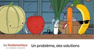 Miniature : Les Fondamentaux : Fruits et légumes (épisode 5/5), " Un problème, des solutions "