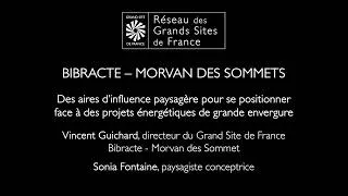 Miniature : Vincent Guichard et Sonia Fontaine - Des aires d'influence paysagère pour se positionner - Bibracte