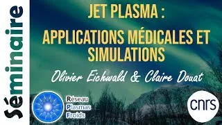 Miniature : Jet plasma : applications médicales et simulations | Olivier  Eichwald & Claire Douat