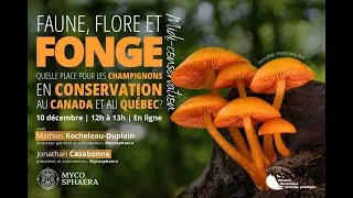 Miniature : Faune, flore et fonge : quelle place pour les champignons en conservation au Canada et au Québec?