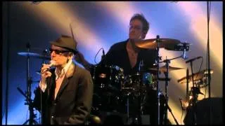 Miniature : Alain Bashung - A perte de vue
