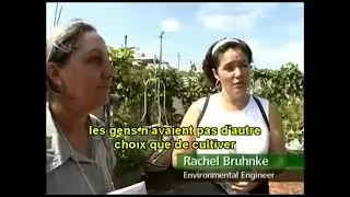 Miniature : Face au pic pétrolier, pourquoi devrions-nous avoir les regards braqués vers Cuba ?
