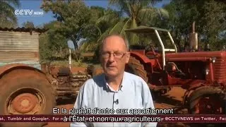 Miniature : Oggún, un tracteur low-tech