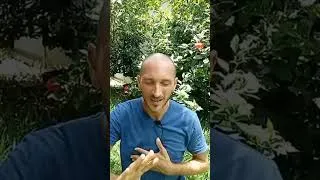 Miniature : Connectez votre respiration à votre rythme cardiaque pour un meilleur sommeil #sommeil #breathwork