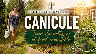 Miniature : Mon potager pendant la canicule : ce qui survit… et ce qui souffre !