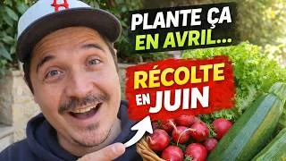 Miniature : Plante ça en AVRIL… récolte AVANT l’été