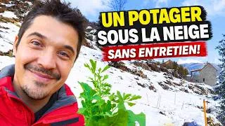 Miniature : Comment j’ai récolté des Légumes Sous la Neige à 1500 m ❄️🥬