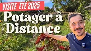 Miniature : Mon Potager pousse… SANS MOI ! 😱 (Visite Complète)