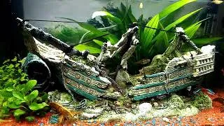 Miniature : Mon Aquarium