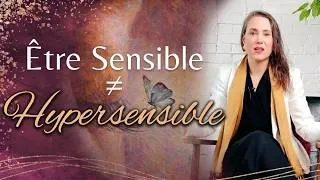 Miniature : Hypersensibilité ou Sensibilité accrue ? Surcharge du Système Nerveux ou fonction innée  ?