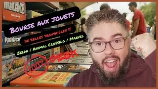 Miniature : Du LOURD en BOURSE AUX JOUETS 😍 (Zelda, Nintendo, Harry Potter...)