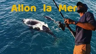 Miniature : Pêche et Baleine