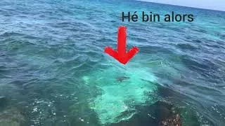 Miniature : la pêche A LA Réunion tuto golette