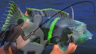 Miniature : Joli poisson pêche côtière