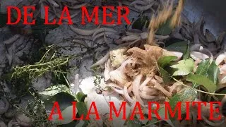 Miniature : Pêche île de la Réunion De la Mer a la Marmite
