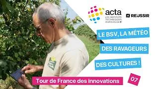 Miniature : 🌳 Le BSV, la météo des ravageurs  des cultures !
