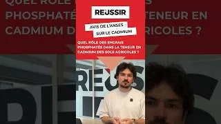 Miniature : Cadmium dans l’alimentation : quel rôle des engrais phosphatés ?