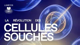 Miniature : LE POUVOIR DES CELLULES SOUCHES