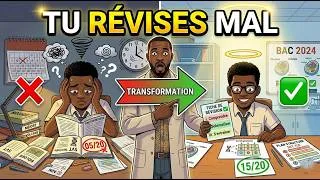 Miniature : Comment réviser la SVT pour réussir le BAC (méthode complète)