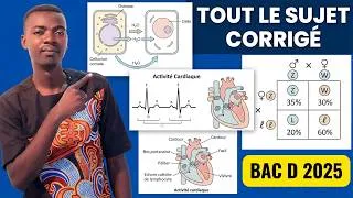 Miniature : CORRECTION EPREUVE  APC : SVT  BAC D 2025 BURKINA FASO