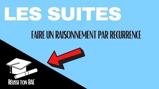 Miniature : Faire un raisonnement par récurrence sur les suites - exercice de terminale - bac de maths