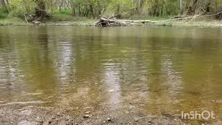 Miniature : EAU ZEN et méditation en bord de Loire 🏞