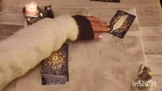Miniature : Guidance de la Nuit des Chats d'Ostara .2 choix  intemporels 🐈‍⬛🐈
