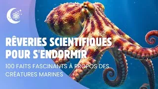 Miniature : Détendez-vous grâce à la science —  100 faits apaisants sur les créatures marines