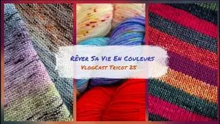 Miniature : 💘VlogTricot 25 - C'est la fin ! #podcasttricot #tricot #vlogtricot