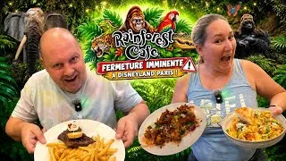 Miniature : LE RAINFOREST CAFE FERME SES PORTES....DERNIER REPAS A DISNEYLAND PARIS