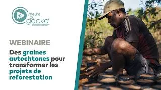 Miniature : Des graines autochtones pour transformer les projets de reforestation