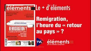 Miniature : Remigration, l’heure du « retour au pays » ?