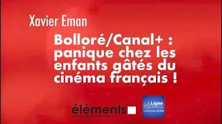 Miniature : Bolloré/Canal+ : panique chez les enfants gâtés du cinéma français !