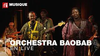 Miniature : Orchestra Baobab, un big band qui incarne l'esprit de la musique africaine