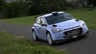 Miniature : Test TEMPESTINI Jump & Flatout WRC Deutschland 2019 [4K]