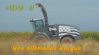 Miniature : #Vlog Novembre, maïs 🌽 et semis 🌱