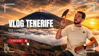 Miniature : Tenerife : mon aventure aux Canaries 🇮🇨