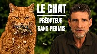 Miniature : 🐈 Le chat : prédateur sans permis